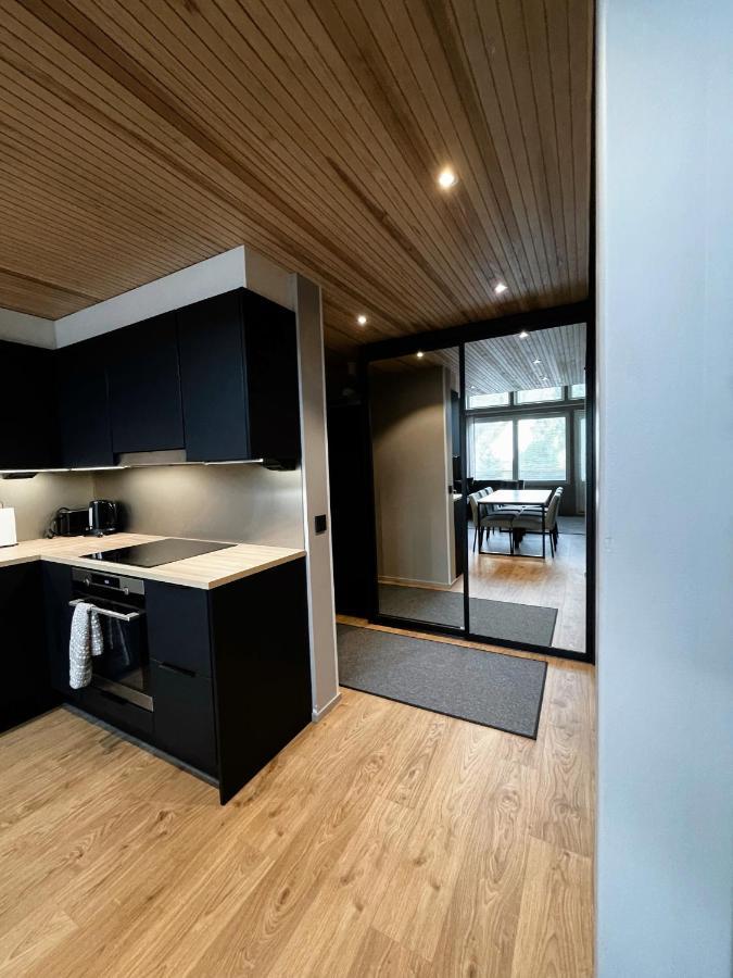 Levin Kunkku B Penthouse 아파트 호텔 외부 사진